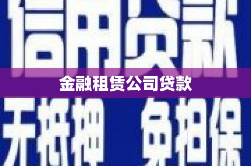 巫山金融租赁公司贷款