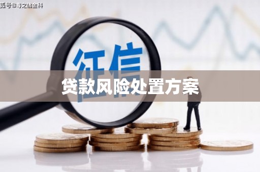 巫山贷款风险处置方案