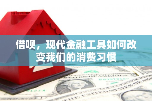 巫山借呗，现代金融工具如何改变我们的消费习惯