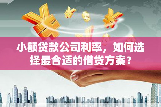 巫山小额贷款公司利率，如何选择最合适的借贷方案？