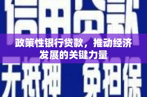 巫山政策性银行贷款，推动经济发展的关键力量