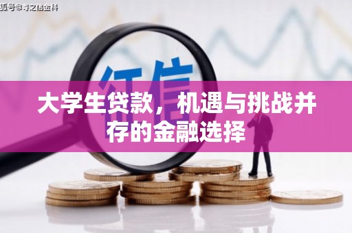 巫山大学生贷款，机遇与挑战并存的金融选择