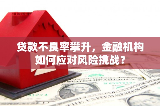 巫山贷款不良率攀升，金融机构如何应对风险挑战？