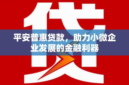 巫山平安普惠贷款，助力小微企业发展的金融利器