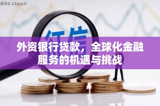 巫山外资银行贷款，全球化金融服务的机遇与挑战