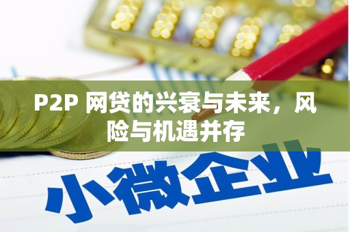 巫山P2P 网贷的兴衰与未来，风险与机遇并存